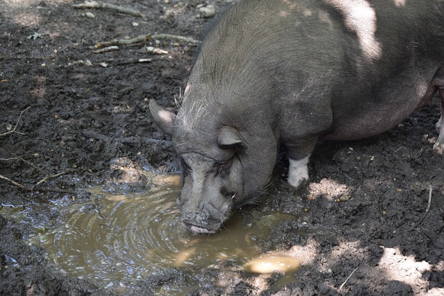 根据历史交 根据历史交