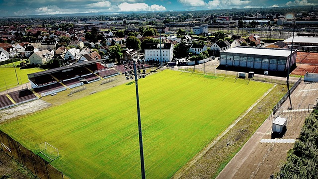 中國職業聯 中國職業聯