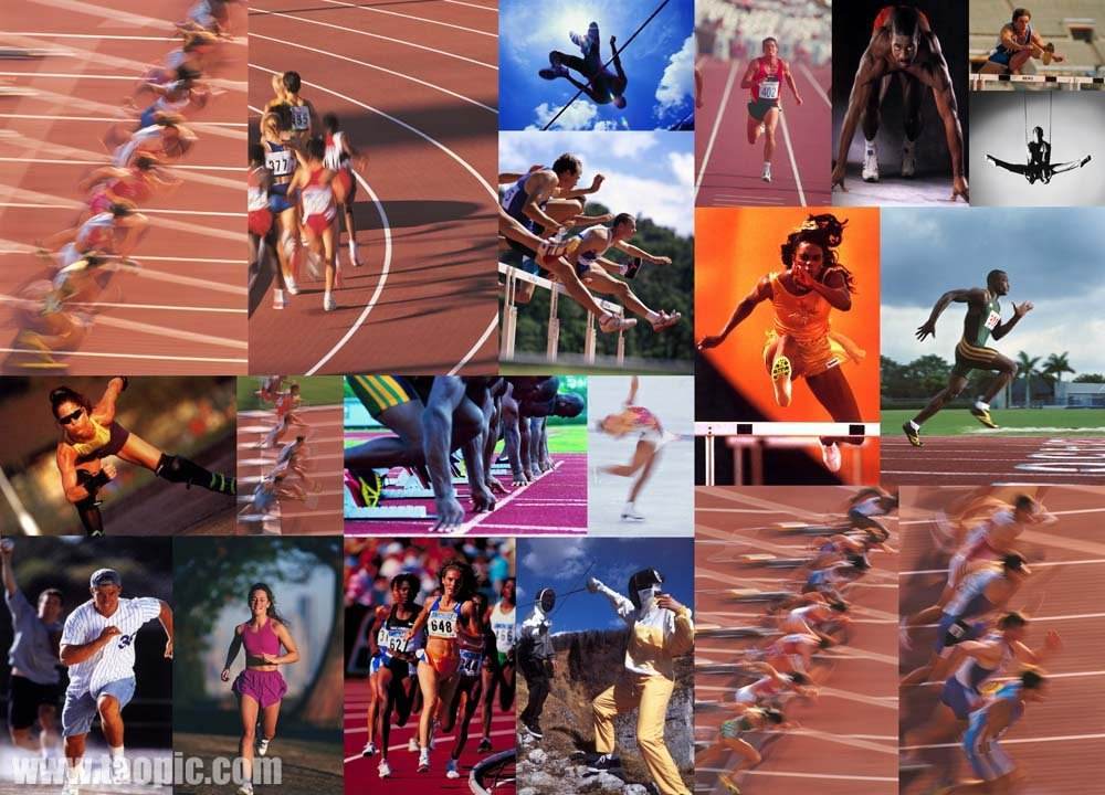 为我们提供 为我们提供