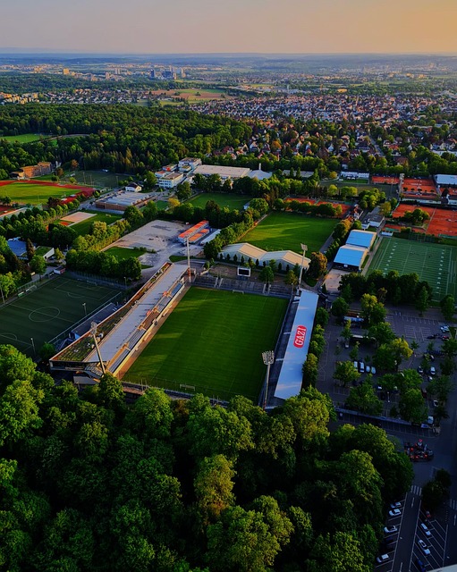 它同样展示 它同样展示