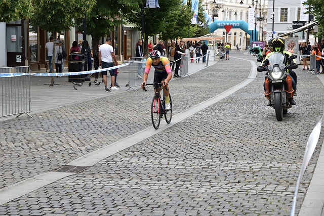 博物院的回 博物院的回