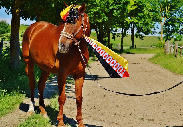 无可争议的 无可争议的