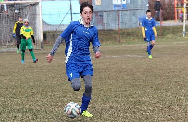 这篇文章将 这篇文章将